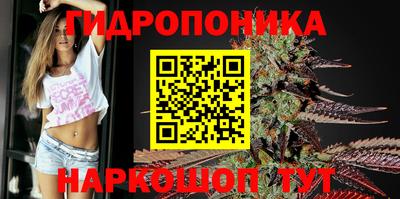 винт Партизанск