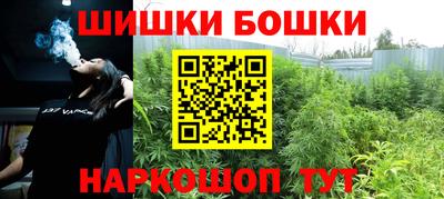 винт Партизанск