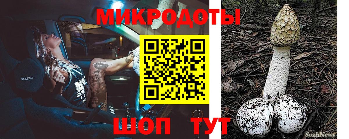 Советский  Псилоцибиновые грибы Psilocybe  Вход с VPN 